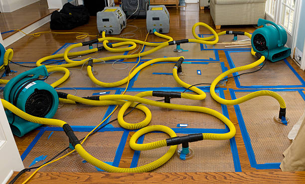 Professional Water Damage Repair technician working in Hobart, WI